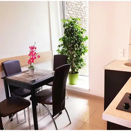 Vivulskio Vip Apartamentų viešbutis