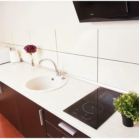 Apartamentų viešbutis Vivulskio Vip *