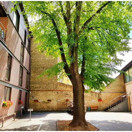 Vivulskio Vip Apartamentų viešbutis *